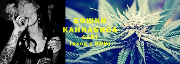 прущий лед Нестеровская
