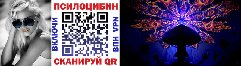 купить наркоту  Ивангород  Псилоцибиновые грибы Cubensis 